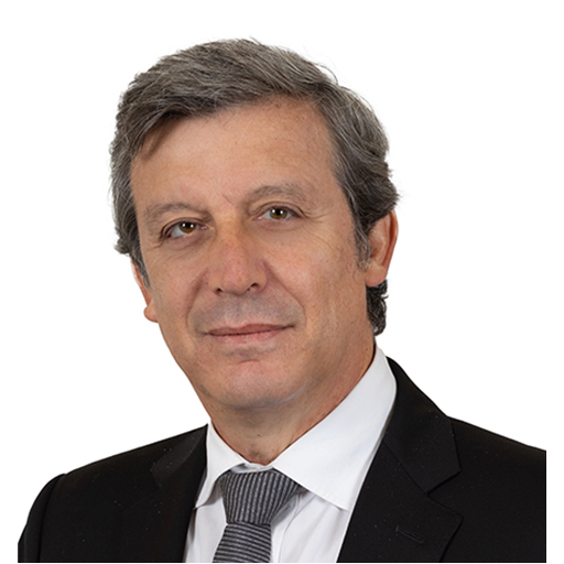 David Assouline (Rapporteur)