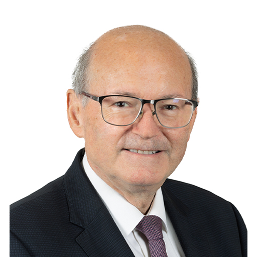 Yves Détraigne (Rapporteur)
