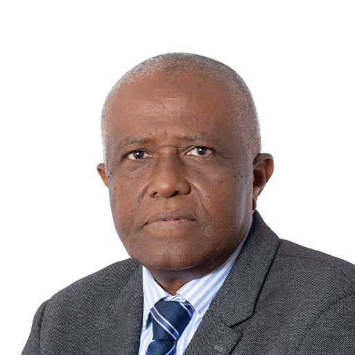 Abdallah Hassani (Rapporteur)
