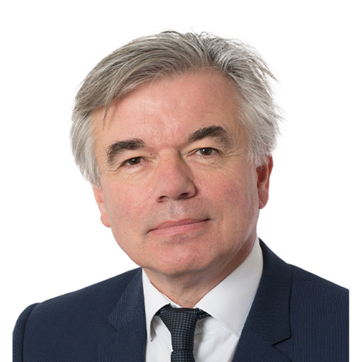 Alain Houpert éléction présidentielle 2022, candidat