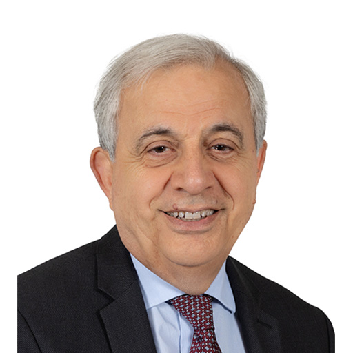Roger Karoutchi (Rapporteur)