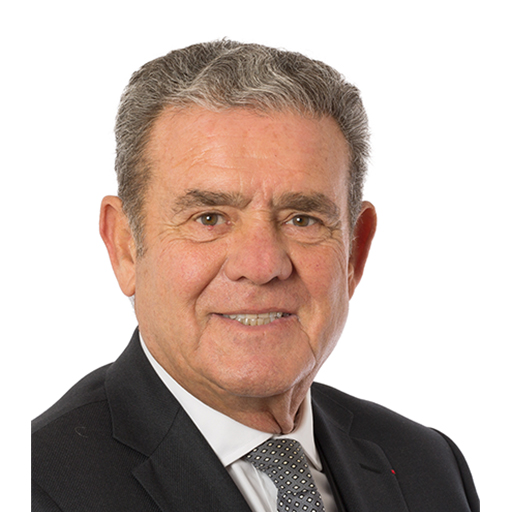 Henri Leroy (Rapporteur)