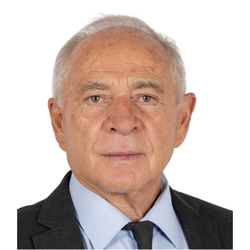 François Patriat (Rapporteur)
