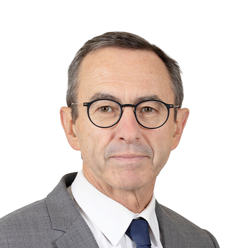 Bruno Retailleau (Rapporteur)